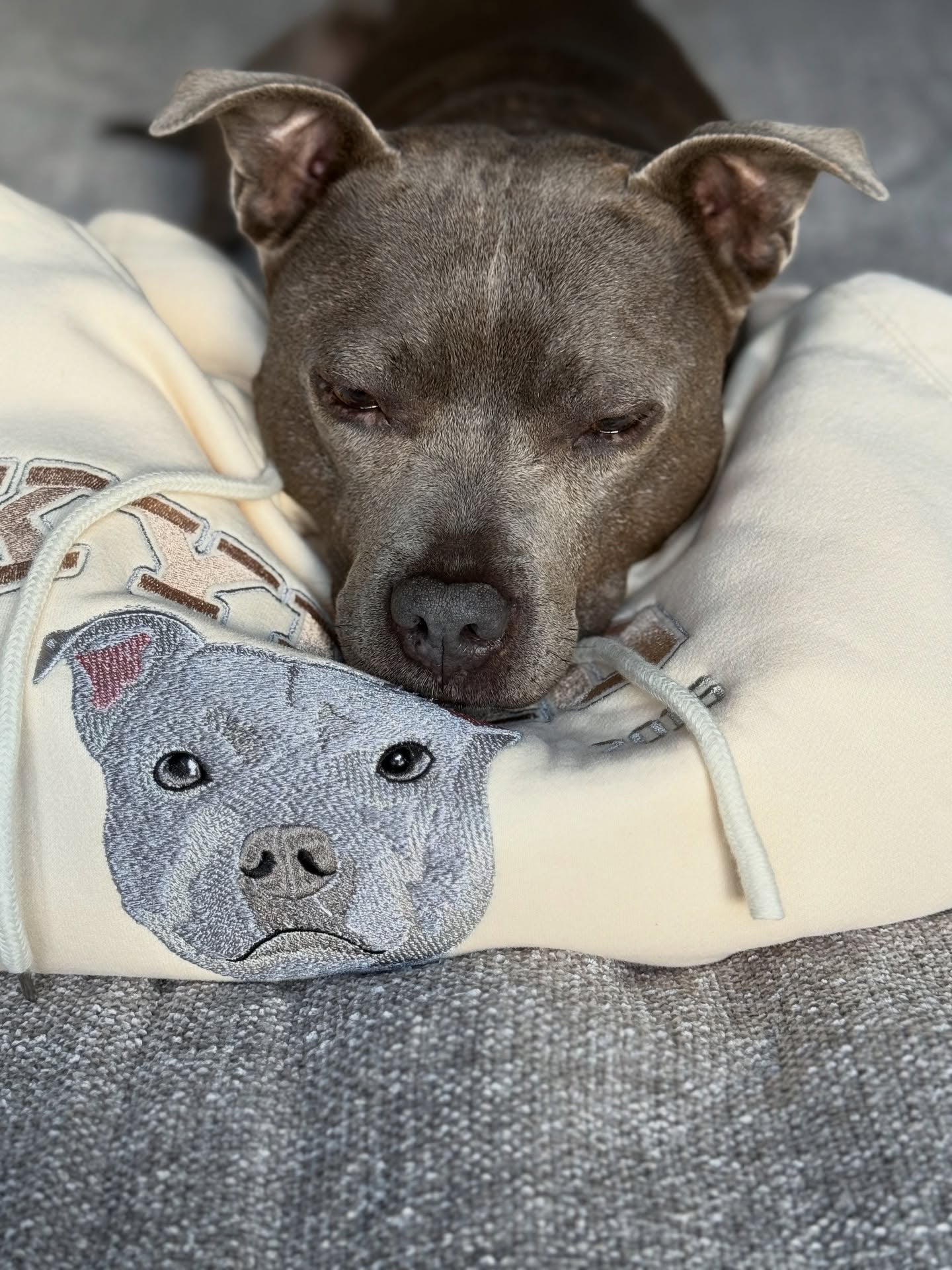 Furry Friends