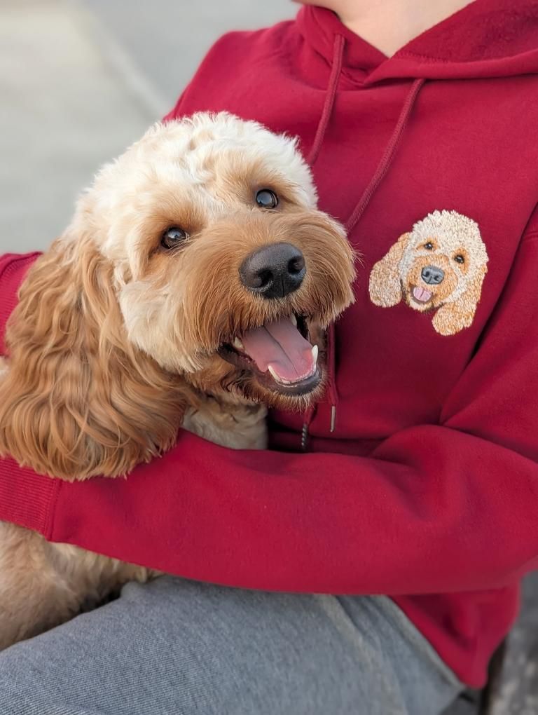 Custom Pet Portrait Embroidered Hoodie
