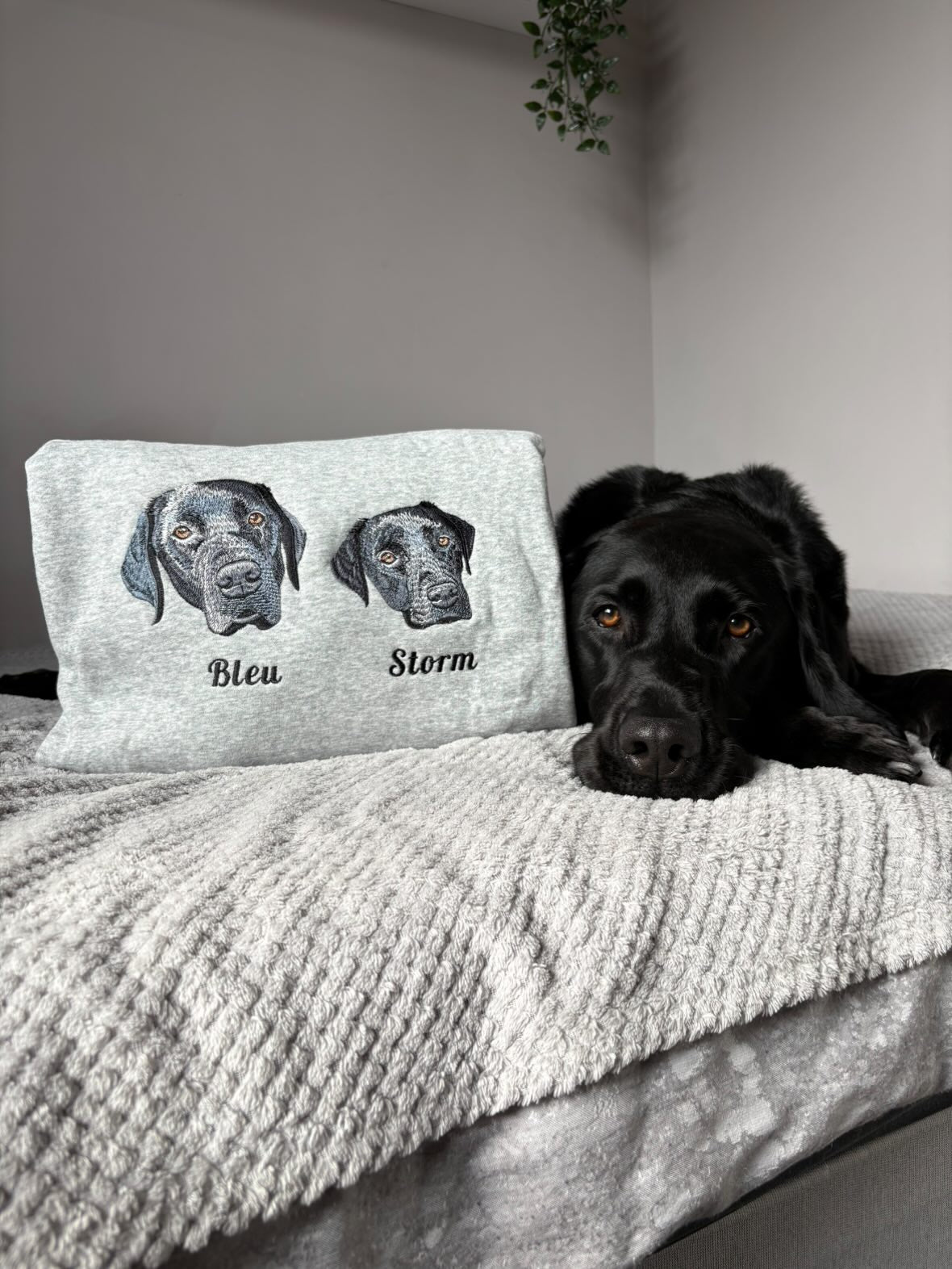 Custom Embroidered Pet Face Quarter Zip Sweatshirt