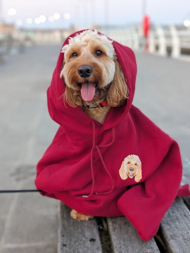 Custom Pet Portrait Embroidered Hoodie