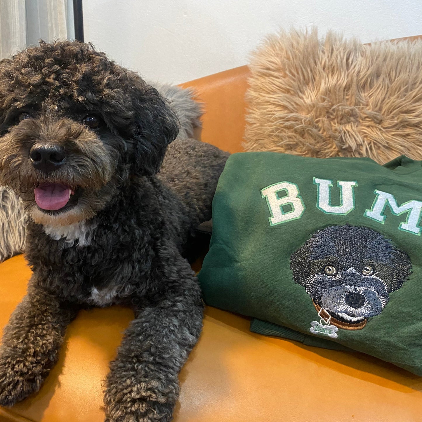 Custom Pet Portrait Embroidered Sweatshirt