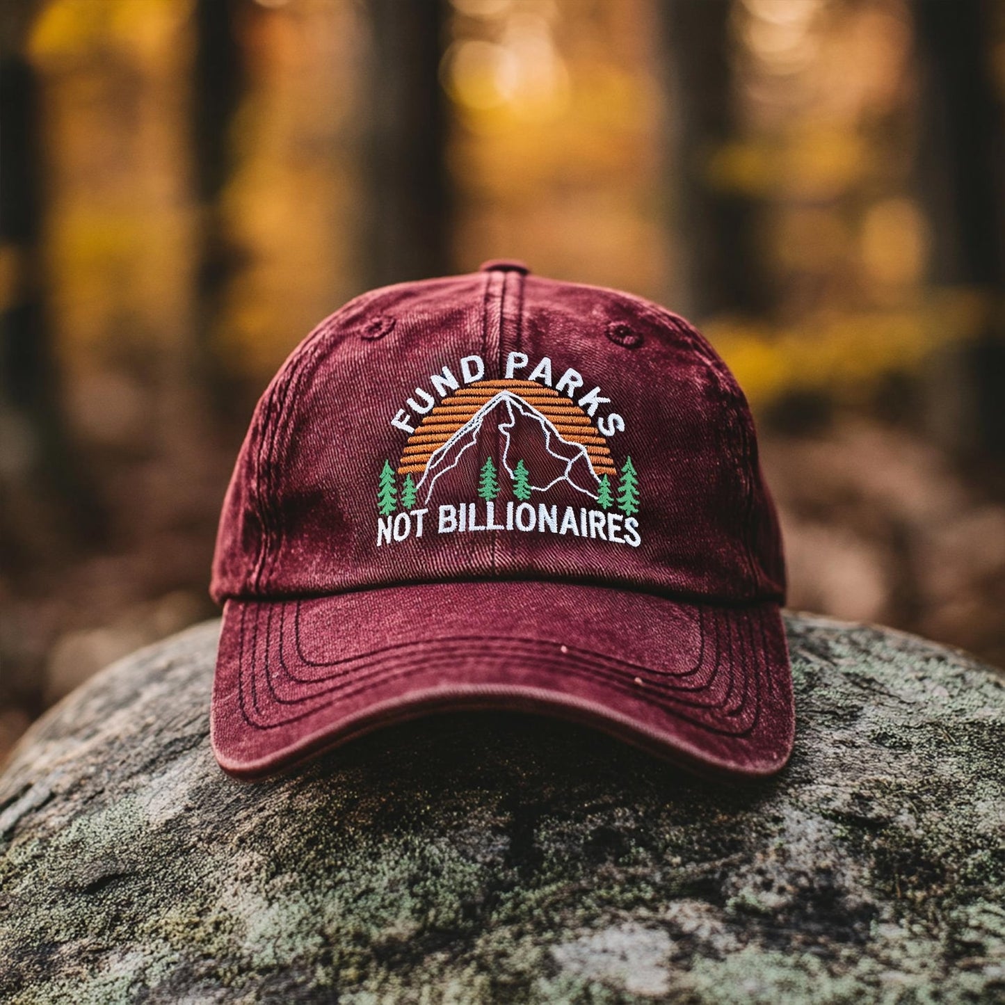 Embroidered Fund Parks Not Billionaires hat