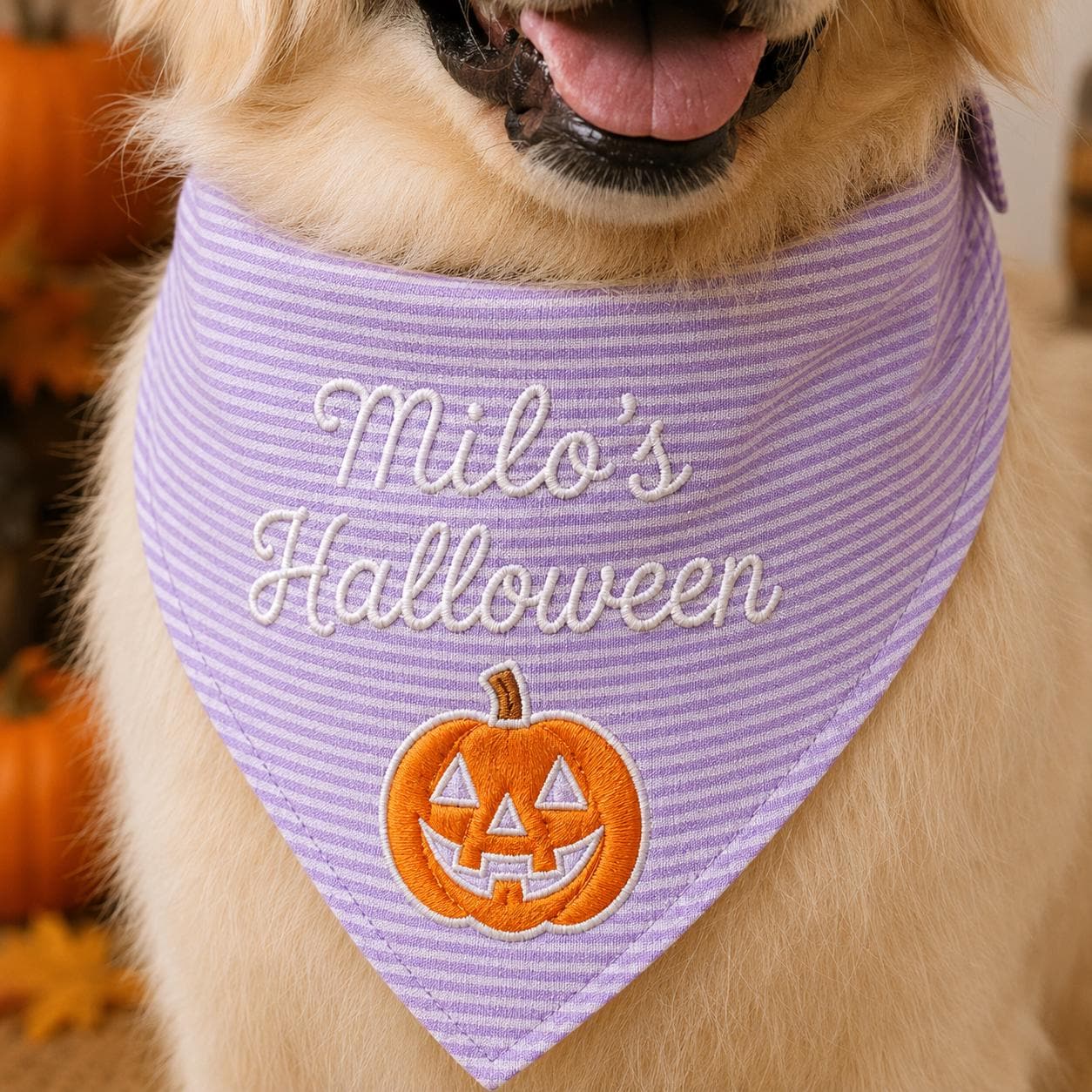 Personalized Dog Halloween Bandana, Custom Embroidered Pet Name Scarf, Pumpkin Puppy Costume, Fall Dog Accessory