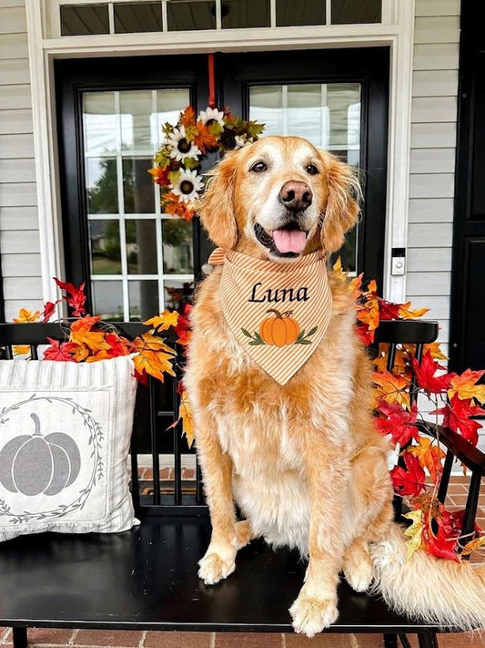 Halloween Pumpkin Dog Bandana Personalized, Halloween Cat Bandana, Gift for Pets