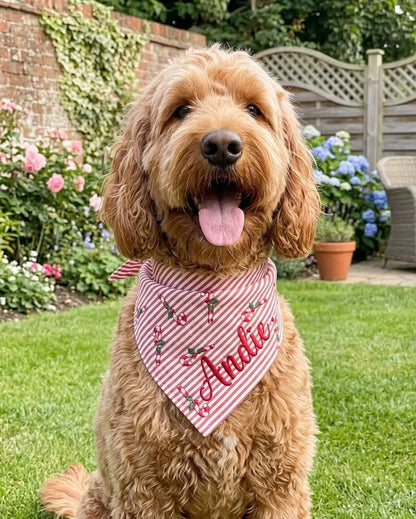 Personalized Christmas Dog Bandana, Candy Cane Striped Pet Scarf, Custom Embroidered Name Puppy Bandana, Holiday Pet Gift