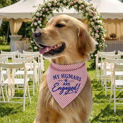 Custom Engaged Dog Bandana, My Humans Are Engaged Bandana, Proposal Dog Scarf, Wedding Announcement Dog, Engagement Photo Prop