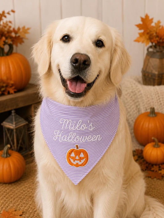 Personalized Dog Halloween Bandana, Custom Embroidered Pet Name Scarf, Pumpkin Puppy Costume, Fall Dog Accessory