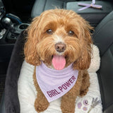Custom Name Dog Bandana